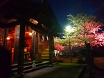 王子神社と桜