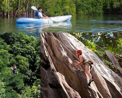 アクティビティ