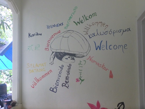 保護センター正面