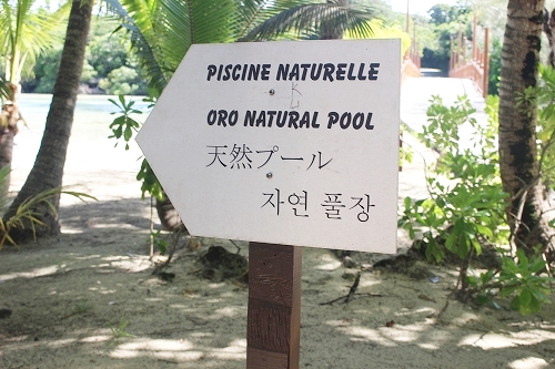 天然プール看板