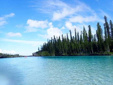 ピッシンヌナチュレル