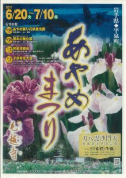 毛越寺あやめまつりチラシ