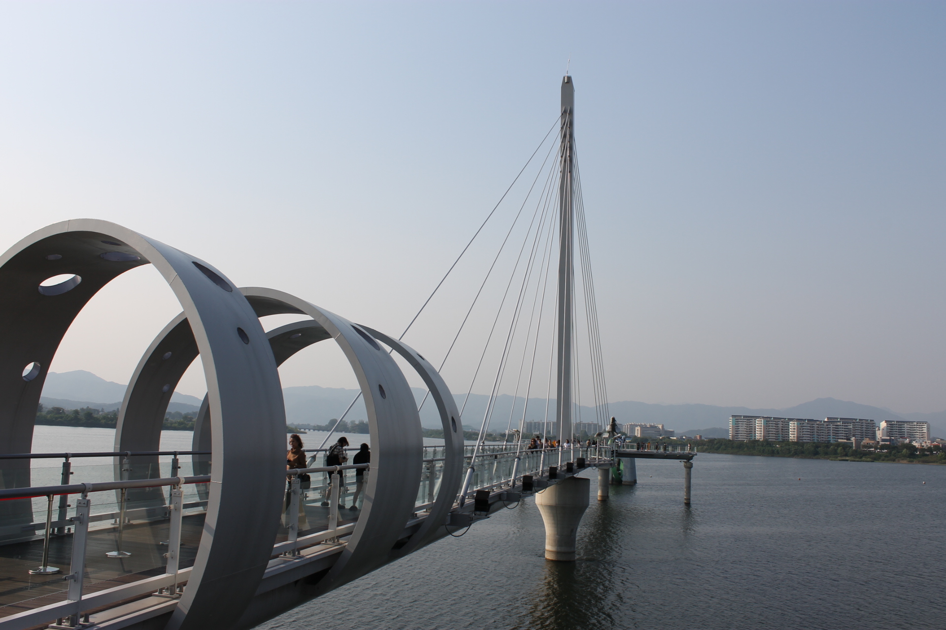 スカイウォーク全景