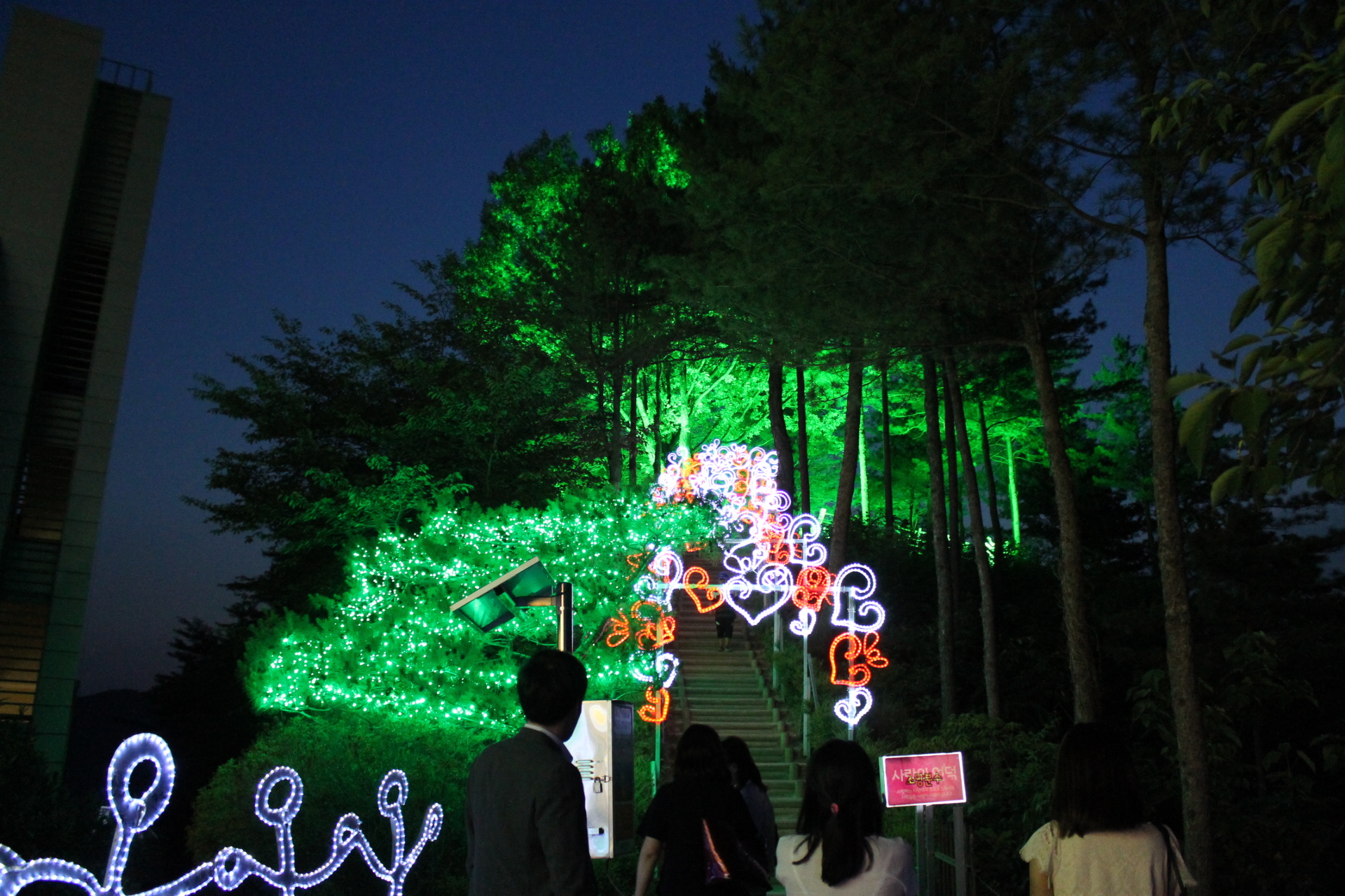 ライトアップ階段