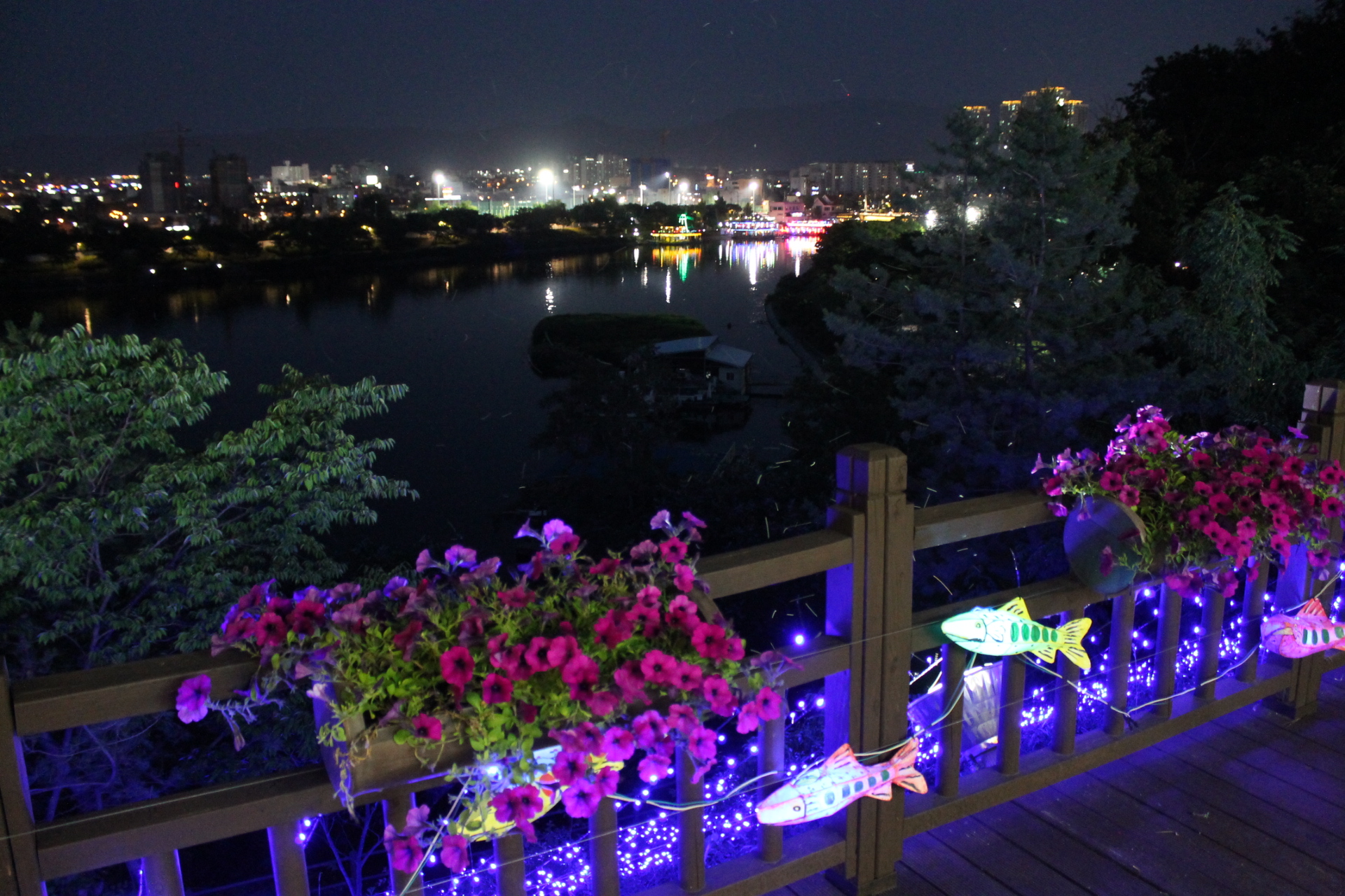 ライトアップ湖