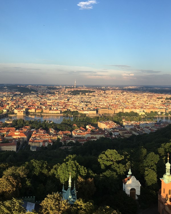 頂上からの眺め２