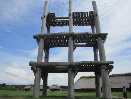 三内丸山遺跡5