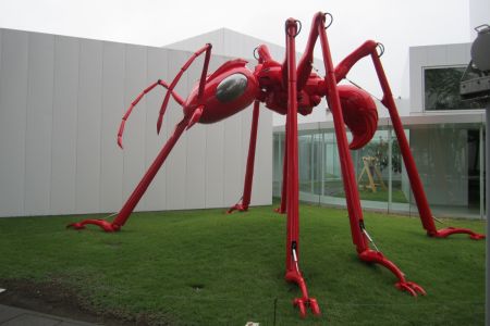 十和田市現代美術館７