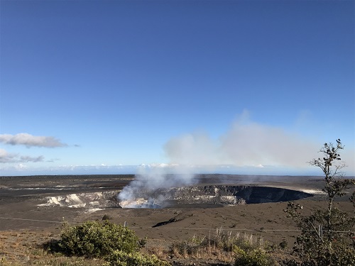 ハレマウマウ