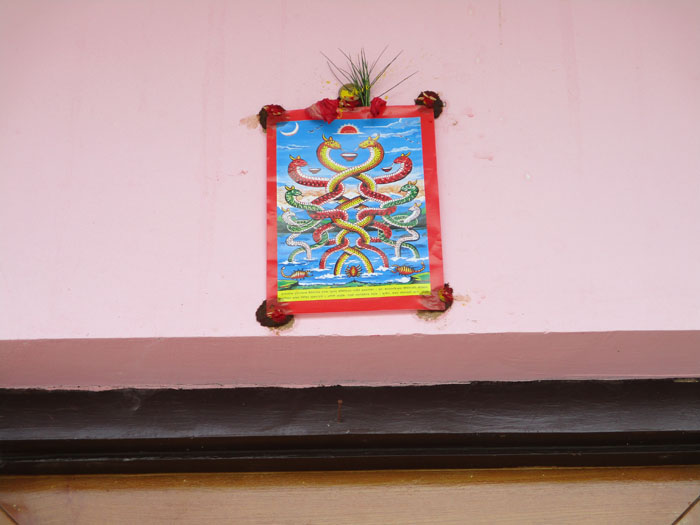 ナーガ・パンチャミ