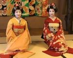 あきた舞妓タイトル