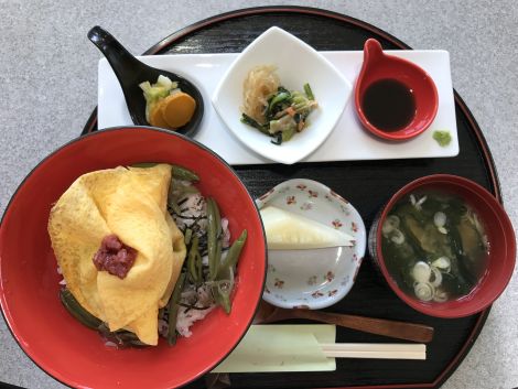 じゅんさい摘み採り体験 と三種じゅんさい丼で じゅんさい三昧 の１日 青岩秋子さんの旅行ブログ トラベルコ