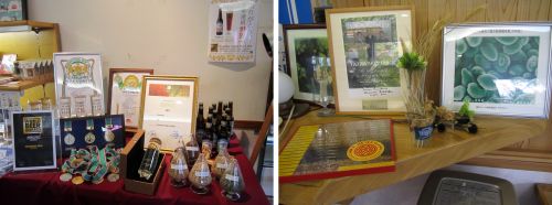 田沢湖ビールレストラン2