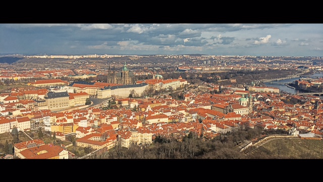 展望台からの景色