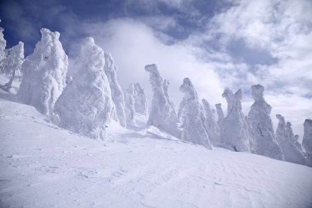 雪のモンスターに会いに行こう 森吉山の樹氷観賞 青岩秋子さんの旅行ブログ トラベルコ