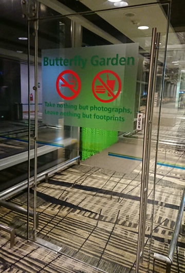 バタフライ入口