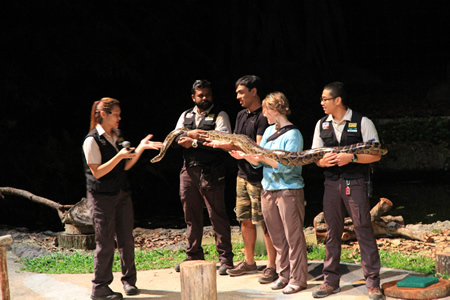 園内ショー1参加