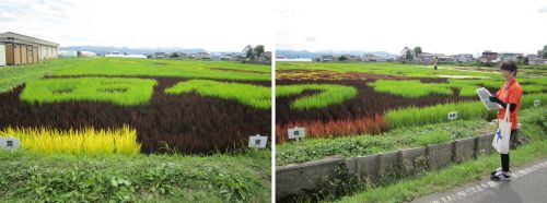 いながだでの田舎あるぎ1