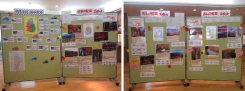 企画展展示風景2