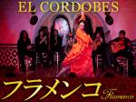 情熱フラメンコショー