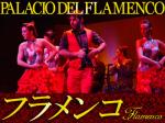 パラシオ・デル・フラメンコ