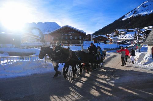 優雅に馬車が行き交う、レッヒの村