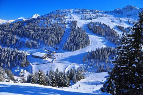 マイヤーホーフェンエリア1