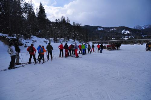 カパナアルピナ