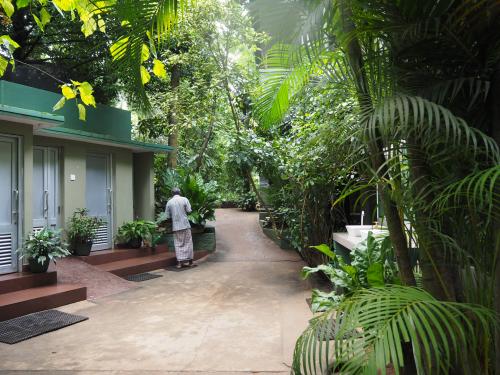 スパイスガーデン