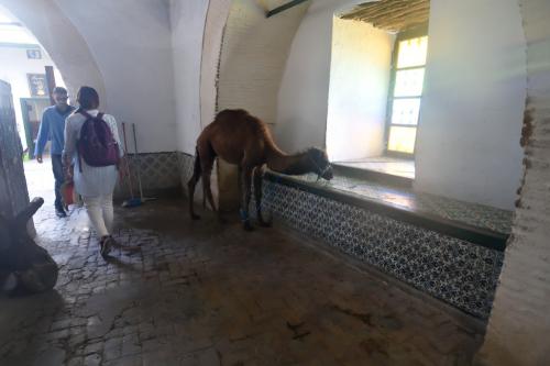 ビル・バルータ