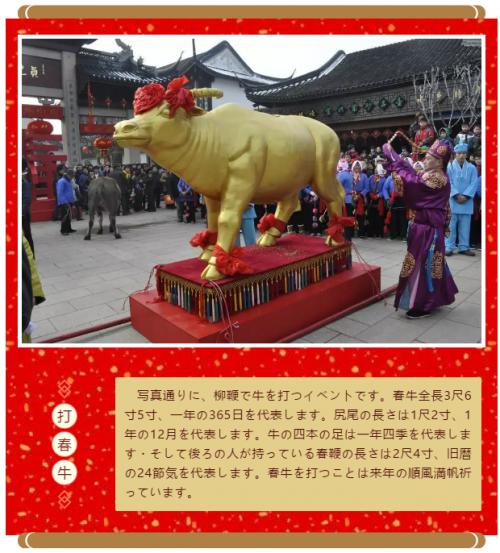 旧正月の周庄03