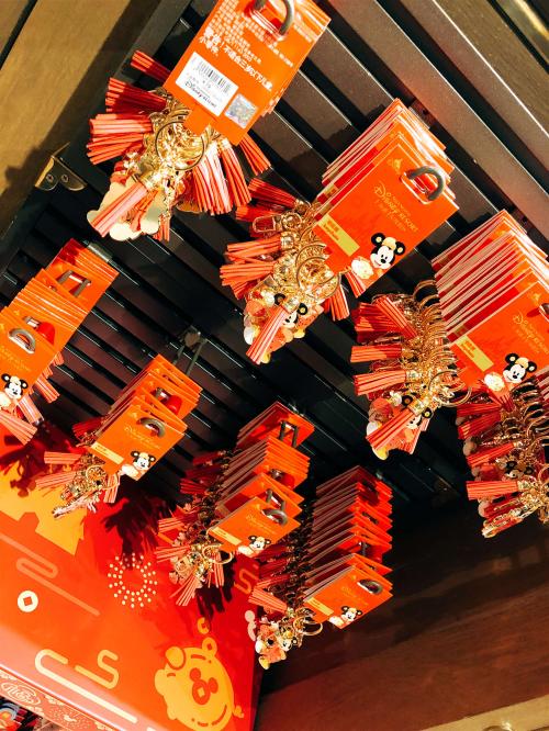 旧正月の上海ディズニー（４）