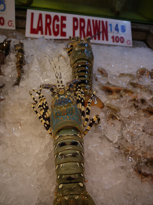 パトンシーフード　ロビスター