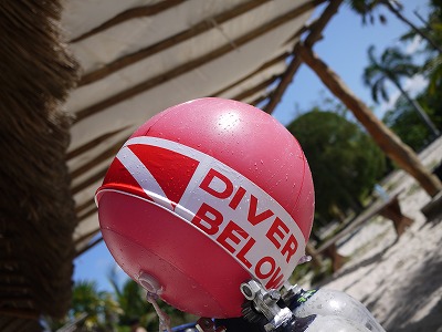 ダイブショップ。