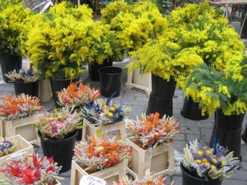 南フランスツアー