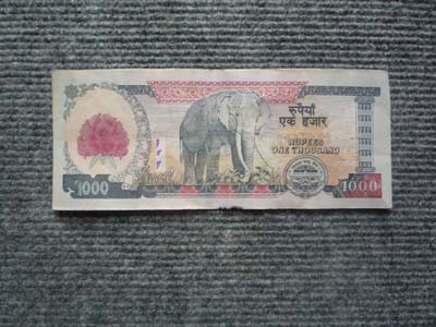 １０００ルピー　ウラ
