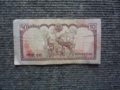 １０ルピー　ウラ