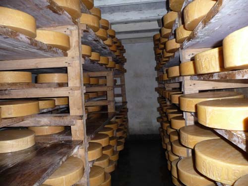 チーズ工場