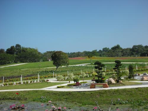 土・日曜は一般開放されます。