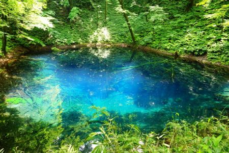 白神山地を散策しよう おすすめの散策道 青岩秋子さんの旅行ブログ トラベルコ