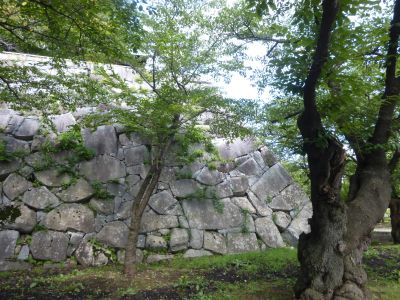 石垣2