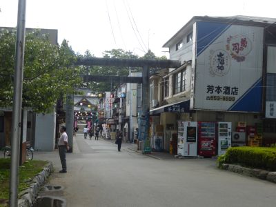 桜山神社参道