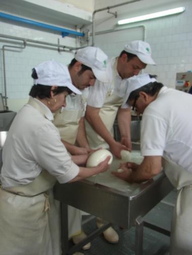 モッツアレッラチーズ工房、