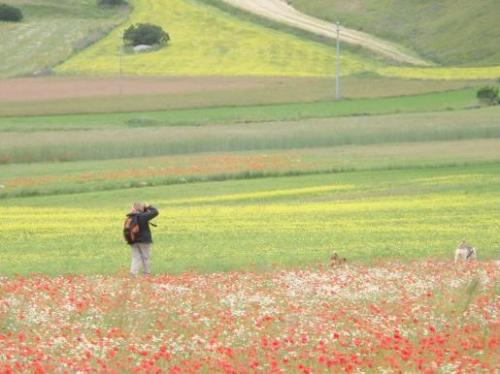 ウンブリアの大自然