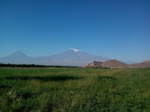 ararat 2019