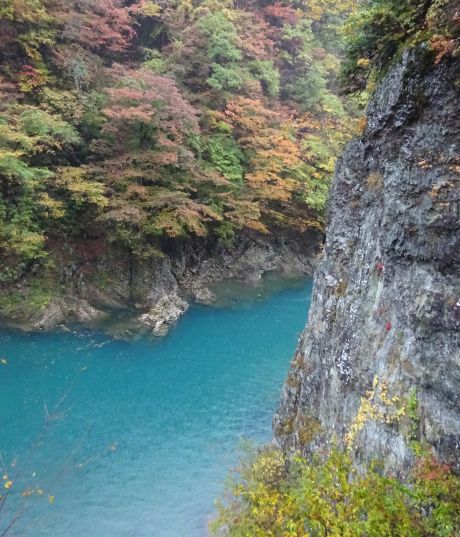 渓谷の川