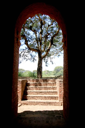 仏塔フォトストップ扉