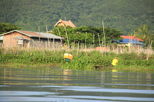 ボートトリップ浮畑