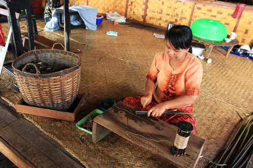 ハス糸織工房 ハスの糸2