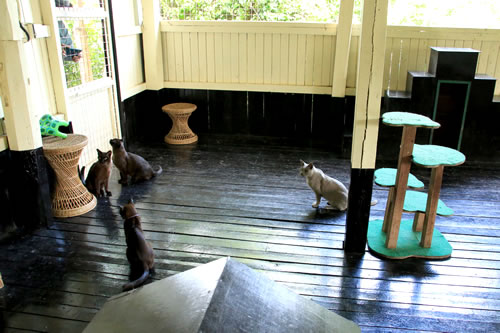 インレー・ヘリテージ5